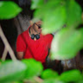 Girish Modi-Freelancer in ahmedabad,India