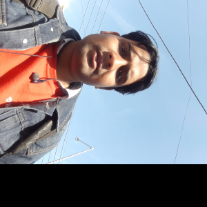 Md Shoib-Freelancer in New Delhi,India