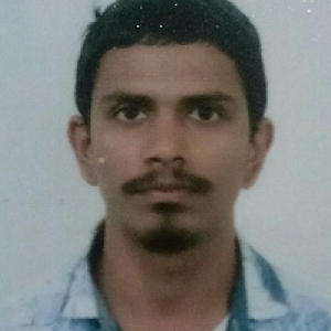 Praful Mohokar-Freelancer in Amravati ,India