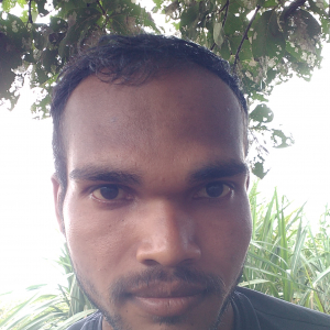 Sunil Gahire-Freelancer in ,India