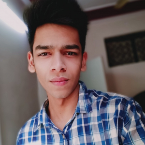 Kartik Aggarwal-Freelancer in ,India