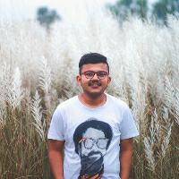 Dhritiman  Mandal-Freelancer in Bhatpara,India