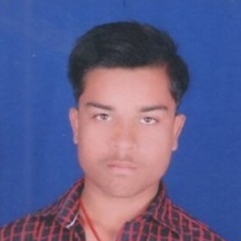 Prince Kumar-Freelancer in Greater Noida,India