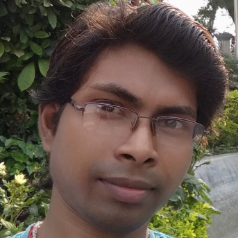 Raja Das-Freelancer in ,India