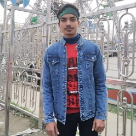 Raghuvir Kumar-Freelancer in ,India