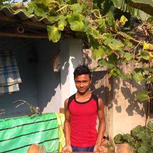 Mojahidulkhan -Freelancer in ,India
