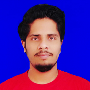 Ashish Baghel-Freelancer in PARASIA,India