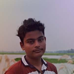 Sutirtha paul-Freelancer in Sirajganj,Bangladesh