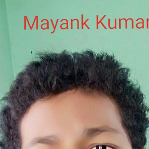 Mayank Kumar-Freelancer in Sasaram,India