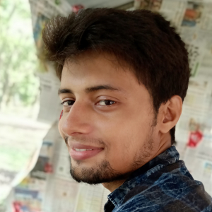 Subhankar Mukherjee-Freelancer in ,India