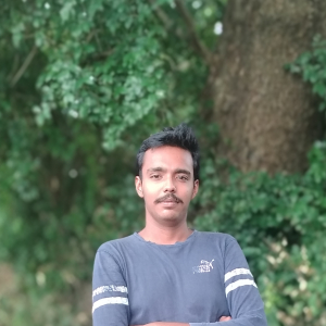 Lakkad Parth-Freelancer in Navsari,India
