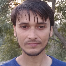 Ravi Kumar-Freelancer in motihari,India