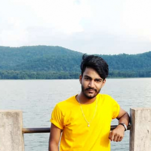 Atul Pardhi-Freelancer in Raipur,India
