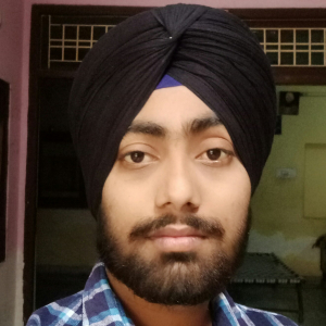 Loveraj Singh-Freelancer in ,India
