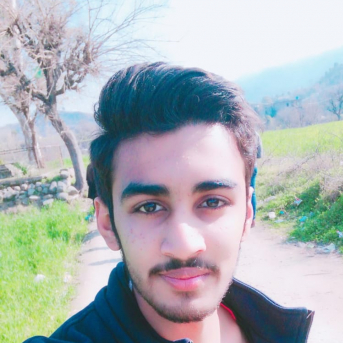 Syed Muhammad Muddabbir Hussain-Freelancer in Sialkot,Pakistan