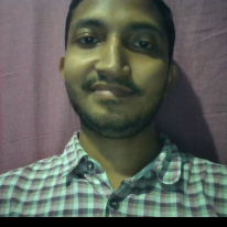 Ashish Pant-Freelancer in Noida,India