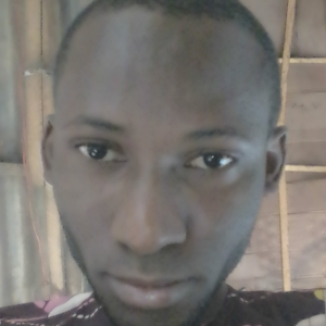 Ibrahim Hammed Adeiza-Freelancer in Lagos,Nigeria