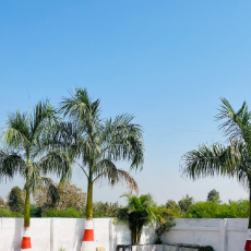 Pranjal Tabhane-Freelancer in ,India