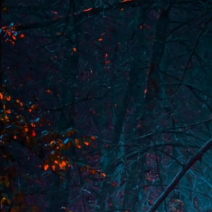 Vasanth H-Freelancer in Banglore,India