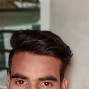 Raj Kumar-Freelancer in ,India