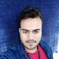 Vinay Partap Singh-Freelancer in ,India