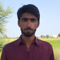 Ali Gohar-Freelancer in Dera Allah Yar,Pakistan