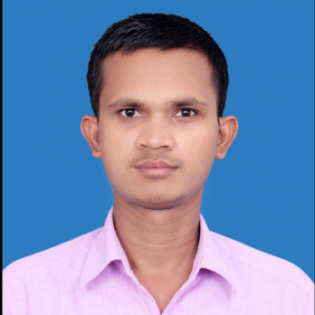 Rajesh Kumar-Freelancer in ,India