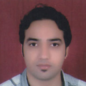 Ramesh Kumar-Freelancer in SIRSA,India