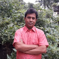 Swadesh Adhikary-Freelancer in ,India