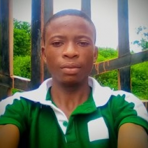 Moreblessing Ogbogo-Freelancer in Lagos,Nigeria