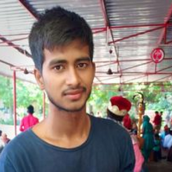 Rajiv Kumar-Freelancer in Bathinda,India