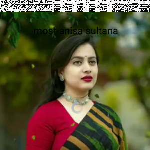Most.Anisa Sultana -Freelancer in jessore ,Bangladesh