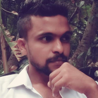 Dushan Aththanayaka-Freelancer in Bingiriya,Sri Lanka