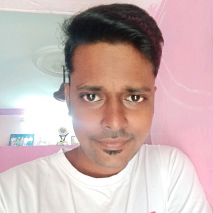 Karthick Loganathan-Freelancer in Chennai,India