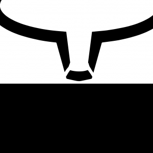 Bhavesh Katwale-Freelancer in ,India