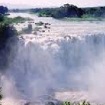 Sefinew adane alie-Freelancer in Bahir Dar Zuria,Ethiopia