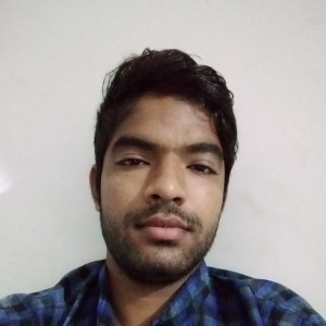 Pushkar Patidar-Freelancer in Mandsour,India