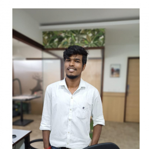 Pradeep Rajasekar-Freelancer in ,India