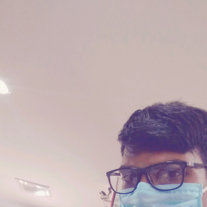 Dhamotharan -Freelancer in ,India