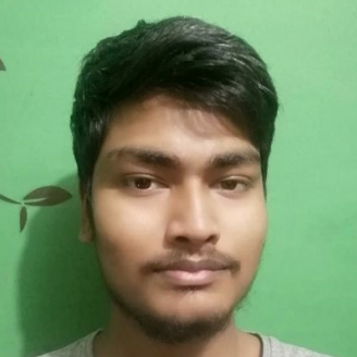 Satyam Patel-Freelancer in Etawah,India
