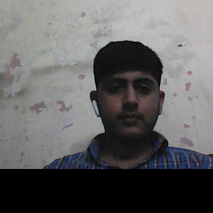 Raman Dhamija-Freelancer in New Delhi,India