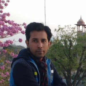 Atish Rajora-Freelancer in New Delhi,India
