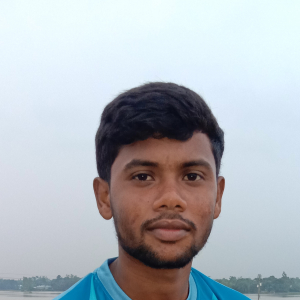 Mominul Islam-Freelancer in Jamalpur,Bangladesh
