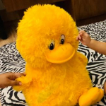 Rowaa-Freelancer in Kannur,India