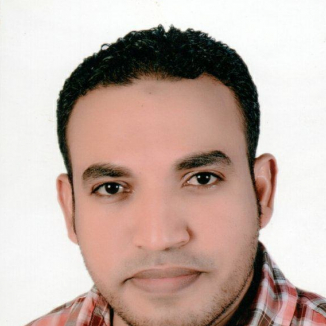 Saleh Khalifa-Freelancer in Cairo,Egypt