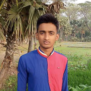 hakim233-Freelancer in Jessore,Bangladesh