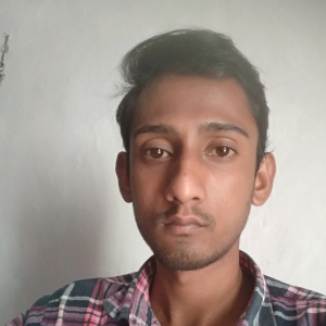 Avinash Dongre-Freelancer in Nagpur,India