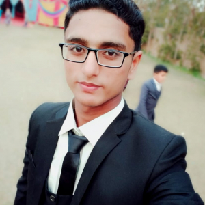 Hamza Imran-Freelancer in Bahawalpur,Pakistan