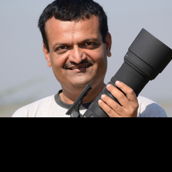 Amish Patel-Freelancer in Jamnagar,India