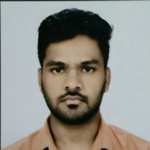 G Narendra-Freelancer in ,India